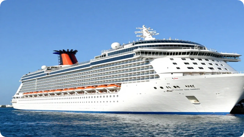 Cruises
