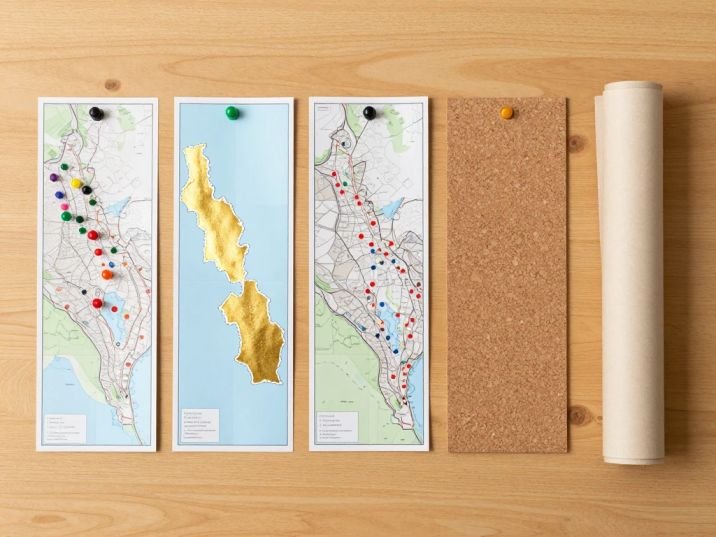 Types of Physical Travel Maps with Pins