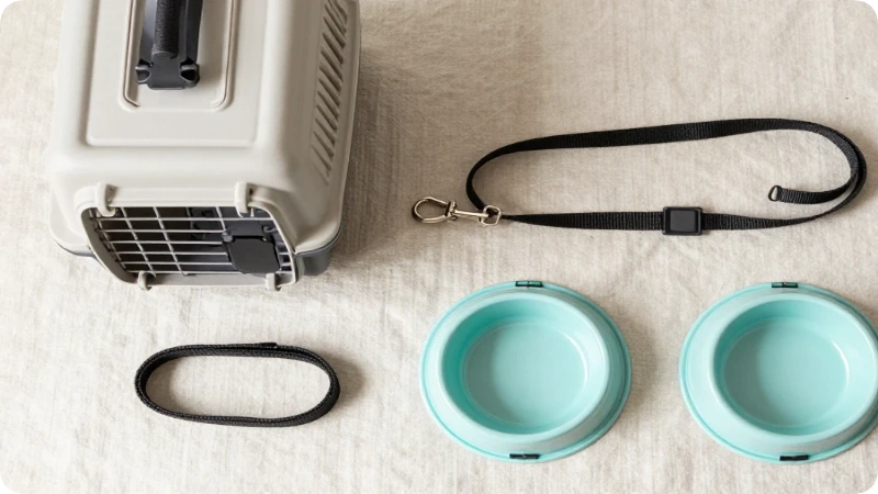 What a Pet Carrier Needs to Meet Bus Requirements
